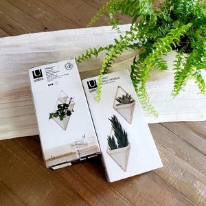 4Pc Umbra Small Trigg Copper Display Wall Planters